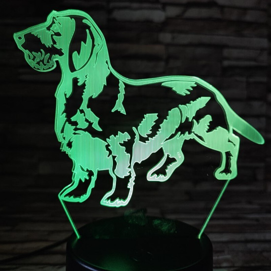 Tacskó drótszőrű 7 színű 3D led lámpa