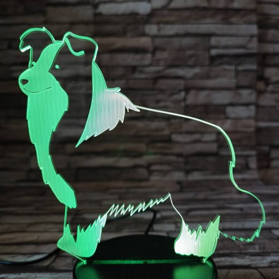 Border Collie 7 színű 3D led lámpa