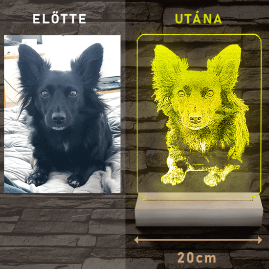 Nagy szív rózsával és kis szívekkel, egyedi fotógravírozás fatalppal 7 színű 3D led lámpa