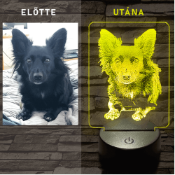 Egyedi fotógravírozás 7 színű 3D led lámpa