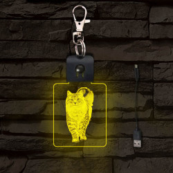 Cica világító LED-s kulcstartó
