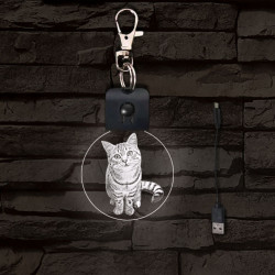 Macska világító LED-s kör kulcstartó