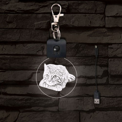 Cica gondolkodik világító LED-s kör kulcstartó