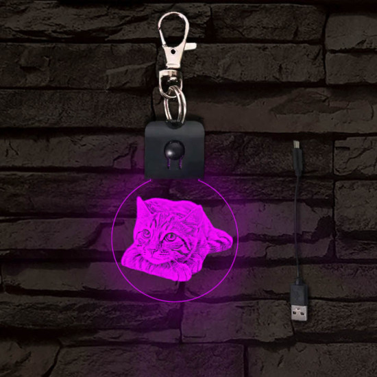 Cica gondolkodik világító LED-s kör kulcstartó