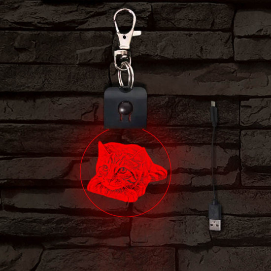 Cica gondolkodik világító LED-s kör kulcstartó