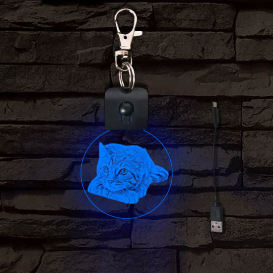 Cica gondolkodik világító LED-s kör kulcstartó