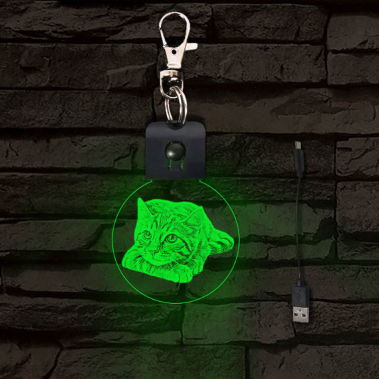 Cica gondolkodik világító LED-s kör kulcstartó