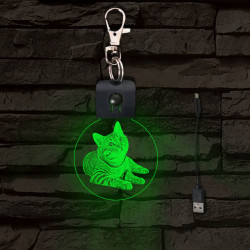 Fekvő cica világító LED-s kör kulcstartó