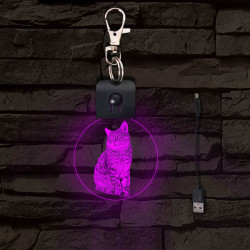 Kandúr világító LED-s kör kulcstartó