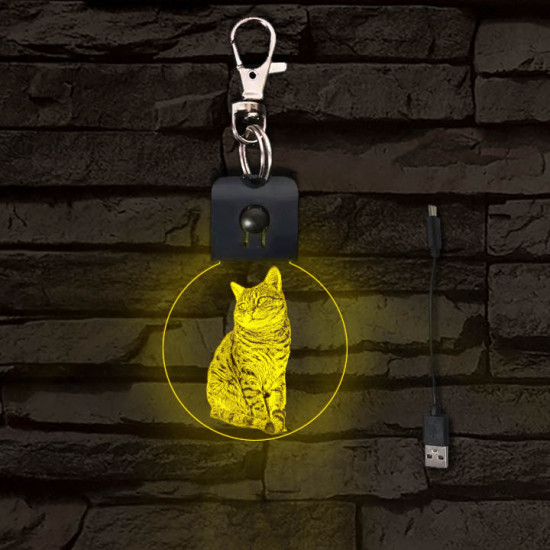 Kandúr világító LED-s kör kulcstartó