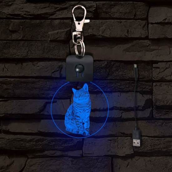 Kandúr világító LED-s kör kulcstartó