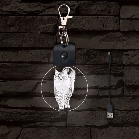Cica világító LED-s kör kulcstartó