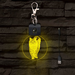 Cica világító LED-s kör kulcstartó