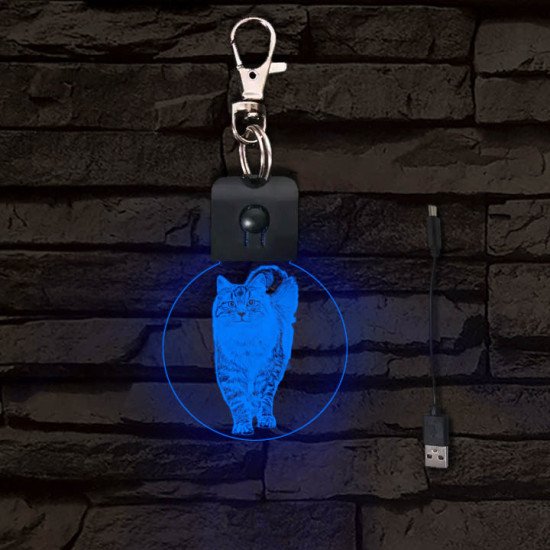 Cica világító LED-s kör kulcstartó