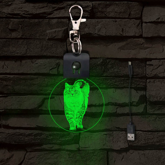 Cica világító LED-s kör kulcstartó