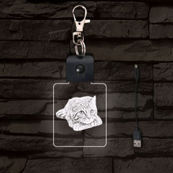 Cica gondolkodik világító LED-s kulcstartó