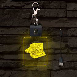Cica gondolkodik világító LED-s kulcstartó