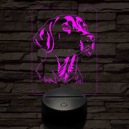 Weimari vizsla-fej 7 színű 3D led lámpa