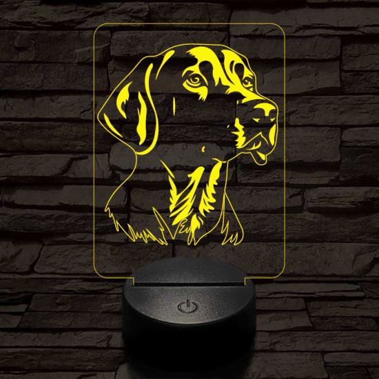 Weimari vizsla-fej 7 színű 3D led lámpa