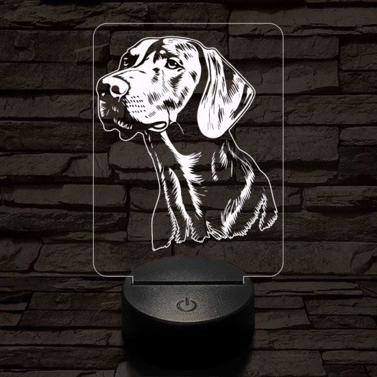 Vizsla-fej  7 színű 3D led lámpa