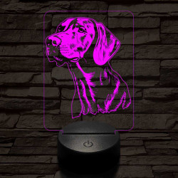 Vizsla-fej  7 színű 3D led lámpa