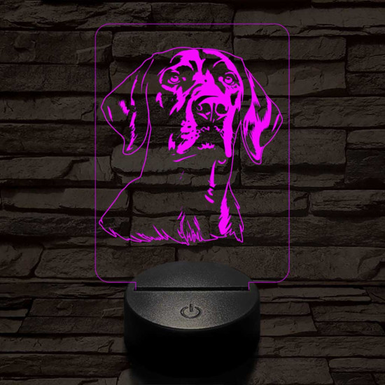 Vizsla 7 színű 3D led lámpa