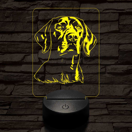 Vizsla 7 színű 3D led lámpa