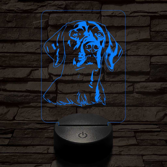 Vizsla 7 színű 3D led lámpa