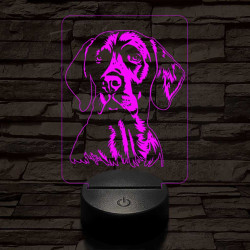 Pointer-fej 7 színű 3D led lámpa