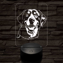 Entlebuchi havasi kutya-fej, 7 színű 3D led lámpa