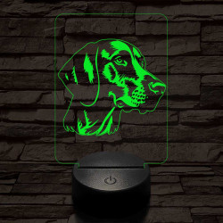 Rövidszőrű német vizsla-fej 7 színű 3D led lámpa
