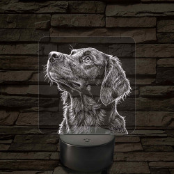 Sima szőrű retriever portré 7 színű valósághű 3D led lámpa