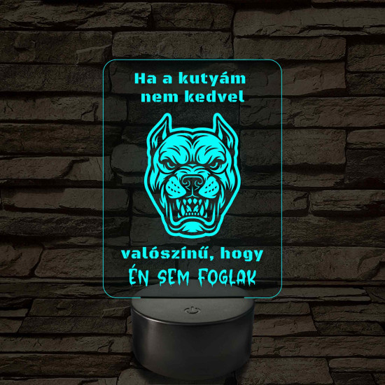 Ha a kutyám nem kedvel – 7 színű, színváltós LED lámpa