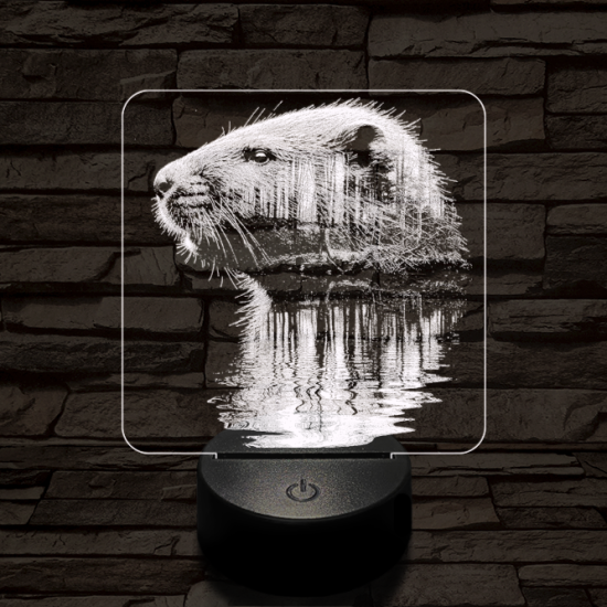 Hódolat 7 színű valósághű 3D led lámpa