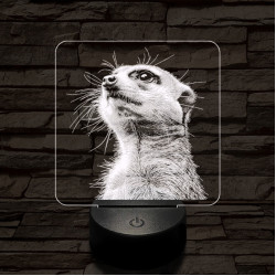 Timon mereng 7 színű valósághű 3D led lámpa