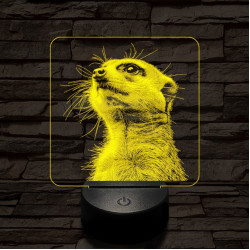 Timon mereng 7 színű valósághű 3D led lámpa