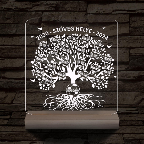 Focis osztályfa személyre szabott fatalppal 7 színű 3D led lámpa