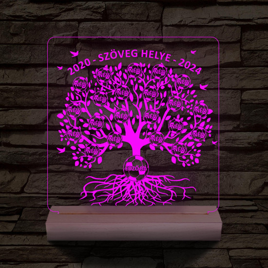 Focis osztályfa személyre szabott fatalppal 7 színű 3D led lámpa