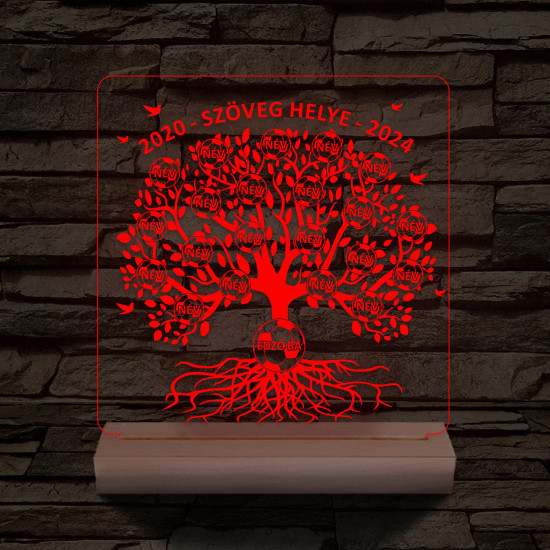 Focis osztályfa személyre szabott fatalppal 7 színű 3D led lámpa