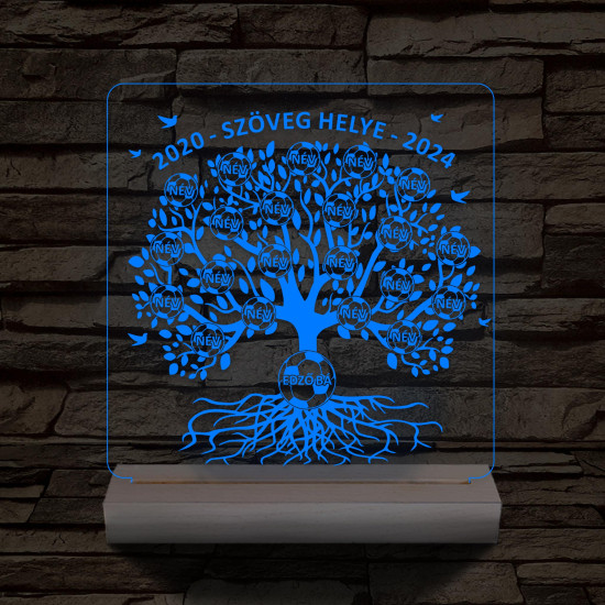 Focis osztályfa személyre szabott fatalppal 7 színű 3D led lámpa