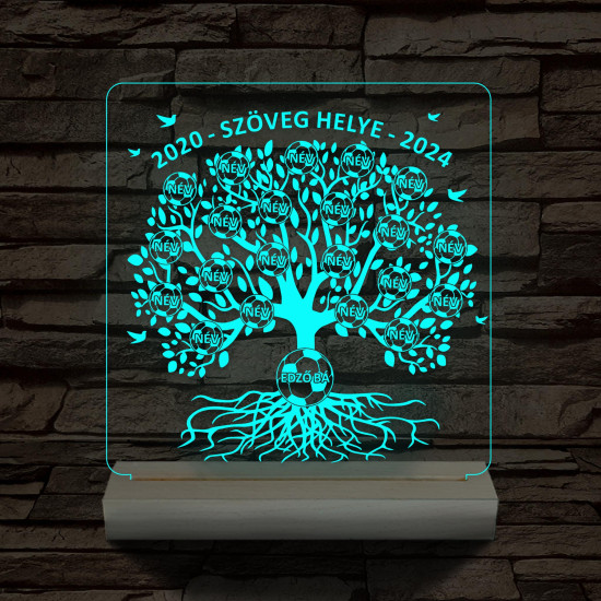 Focis osztályfa személyre szabott fatalppal 7 színű 3D led lámpa