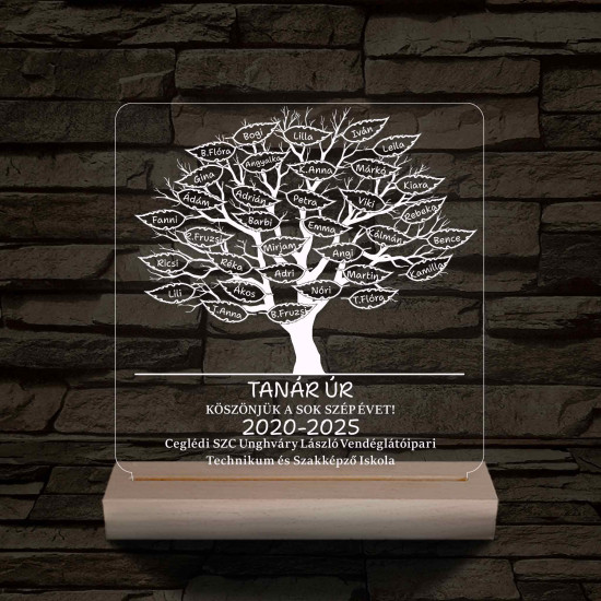 Leveles osztályfa fatalppal 7 színű 3D led lámpa