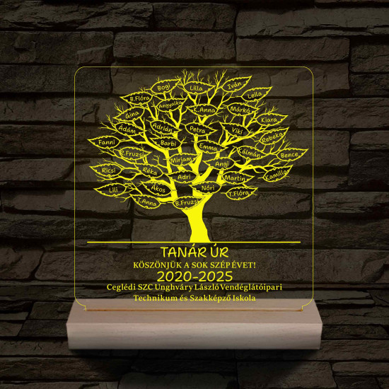Leveles osztályfa fatalppal 7 színű 3D led lámpa