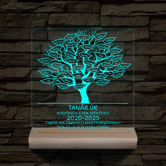 Leveles osztályfa fatalppal 7 színű 3D led lámpa