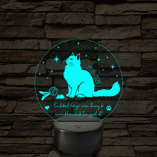 Örök Emlék – Személyre szabható cica emlék 7 színű, színváltós 3D LED lámpa
