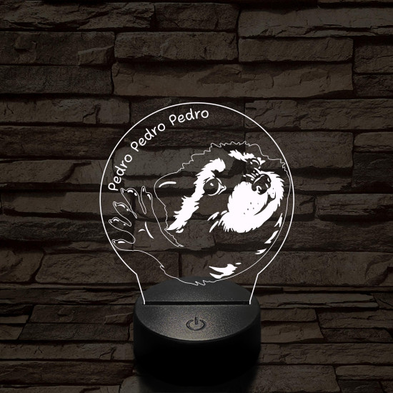 Pedro Pedro meme 7 színű 3D led lámpa