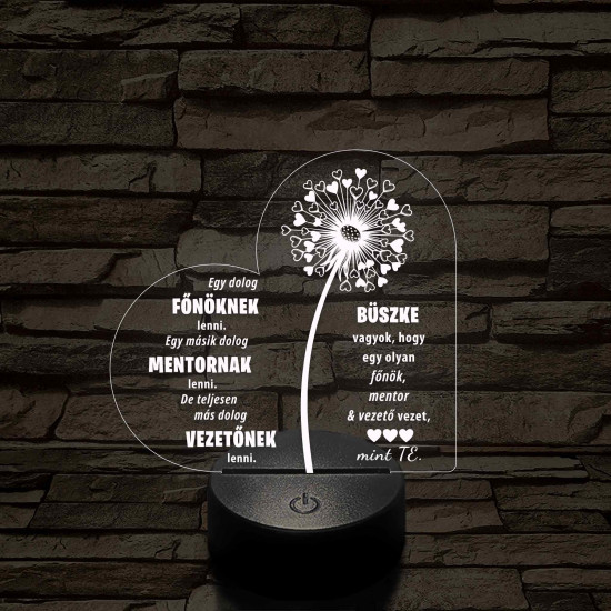 Főnök – Mentor – Vezető – 7 színű, színváltós 3D LED lámpa (egyes számban)