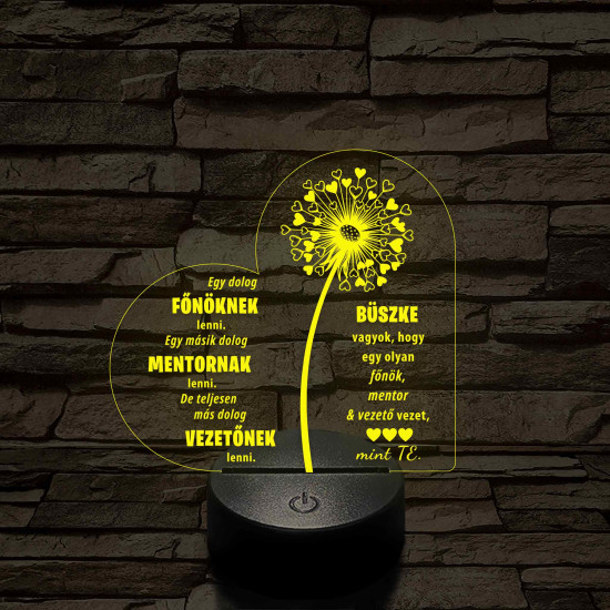 Főnök – Mentor – Vezető – 7 színű, színváltós 3D LED lámpa (egyes számban)