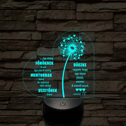 Főnök – Mentor – Vezető – 7 színű, színváltós 3D LED lámpa (egyes számban)