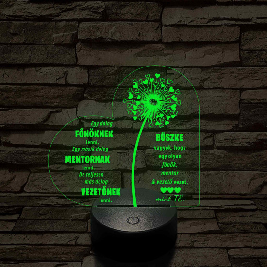 Főnök – Mentor – Vezető – 7 színű, színváltós 3D LED lámpa (egyes számban)